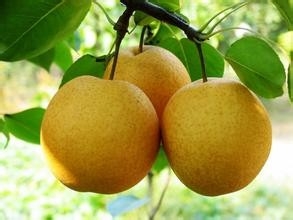小孩支气管炎治疗