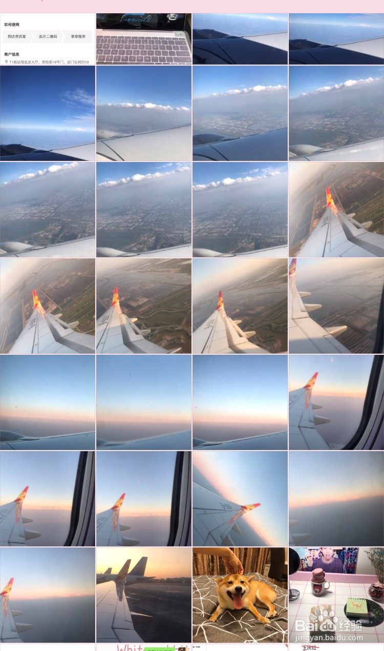 如何用手机软件LINE Camera抠图