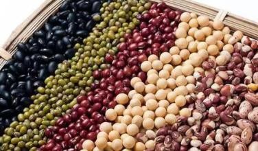 预防电脑辐射应该多吃什么