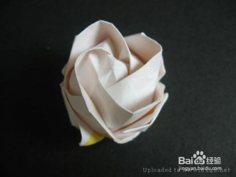 【折纸】教大家如何纸张折出川崎玫瑰