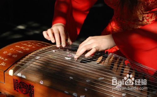 古筝的选购技巧