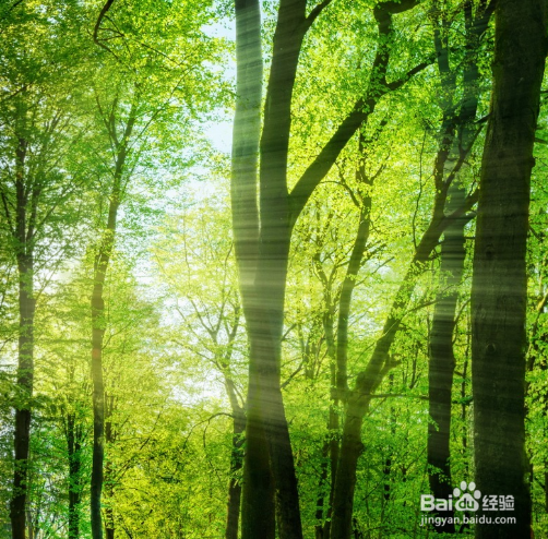 怎么样在《我的世界》里成为胜利者