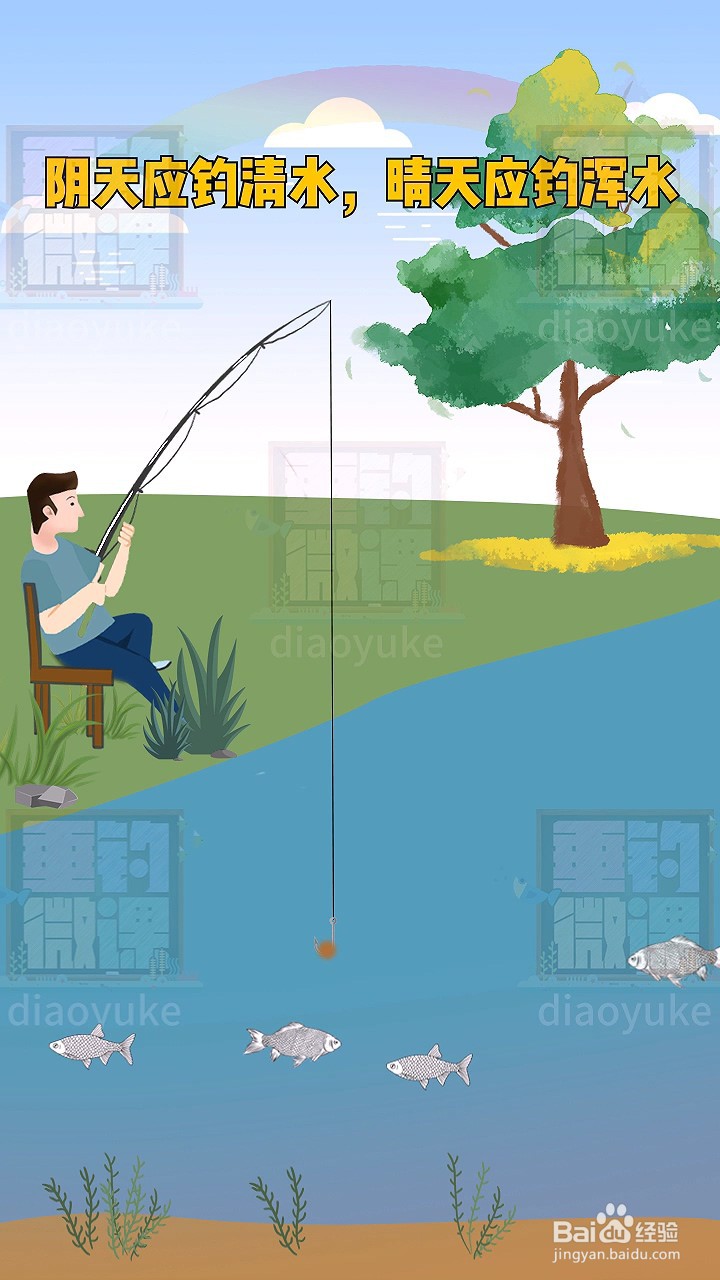 阴天和晴天分别要在哪种水域进行作钓?