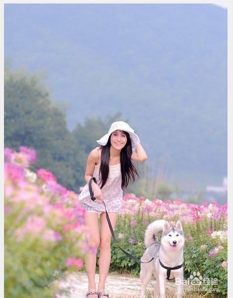 泰安到张家界自驾游