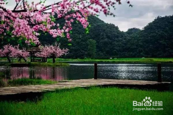 三生三世十里桃花》的外景拍摄地！-百度经验