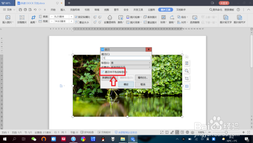 WPS文档中图片如何添加“文字注释”?