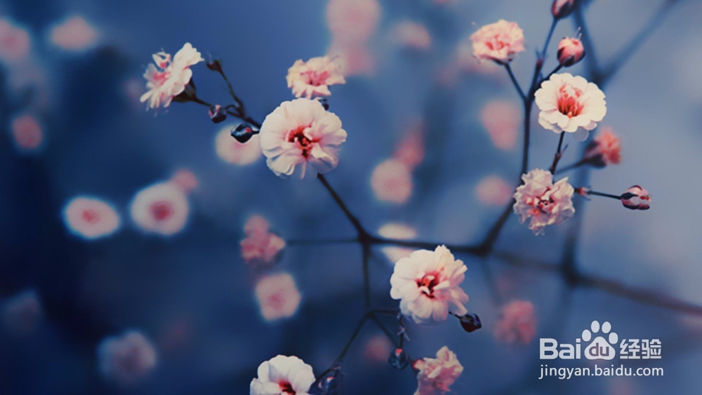 调查发现，从来不发朋友圈的，多半都是这类人