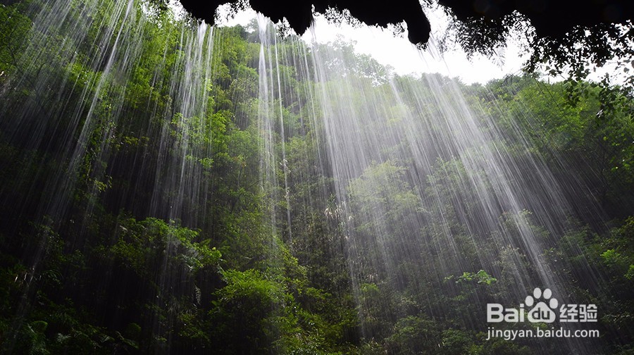 张家界游玩定制,原来大家都是这么玩的!