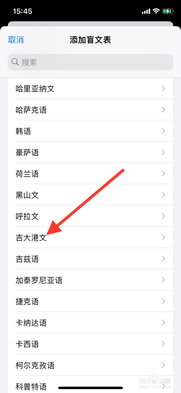 iPhone旁白盲文怎样添加“吉大港文”盲文表