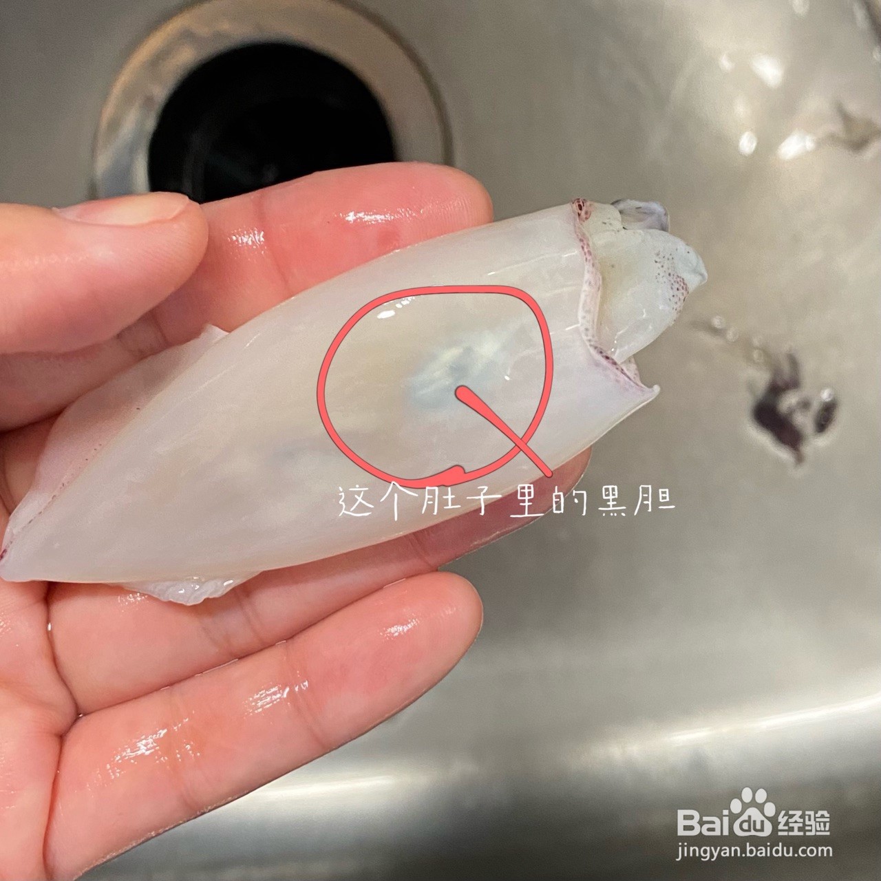 小葱鱿鱼仔怎么做