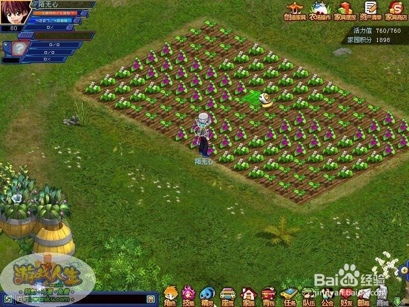 巴里克的卡组攻略