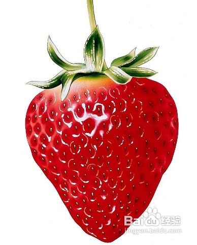分享助夏季肌肤靓丽的8大养生食物