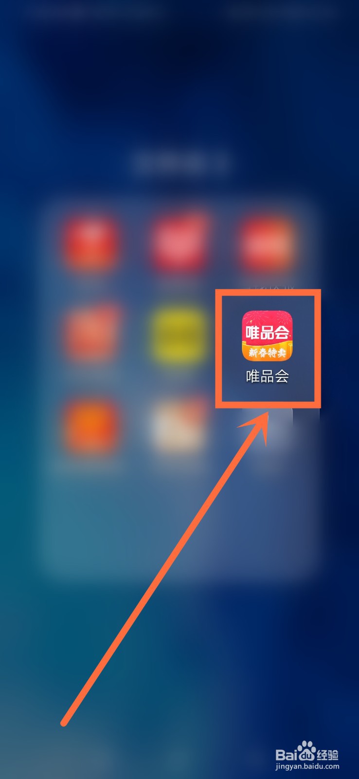 唯品会怎么借钱