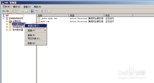 Windows server 2008操作系统新建DNS主要区域
