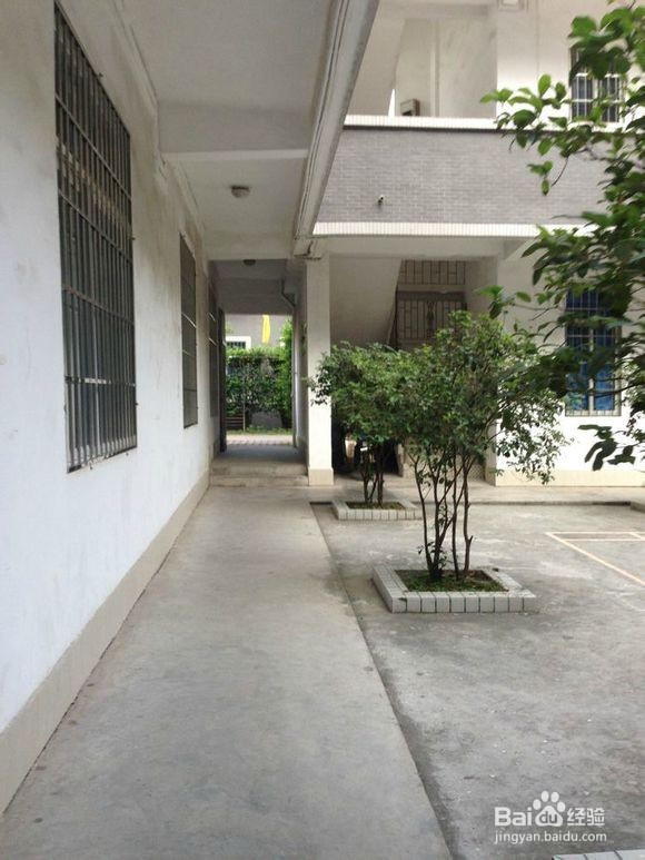 南华工商学院黄埔校区校园图片全攻略