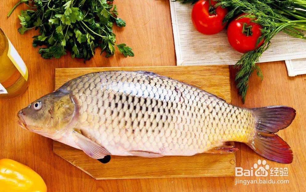 怎么区分鲤鱼和鲫鱼？