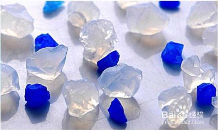 你家主子的猫砂选对了吗？