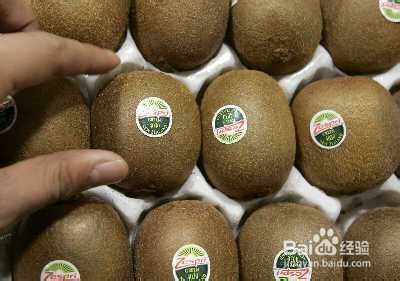 #水果#如何挑选猕猴桃