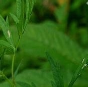 健康常识,你知道多少?2