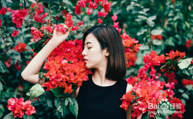 拍摄人像，都可以利用哪些景物作为前景？