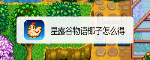 星露谷物语椰子怎么得