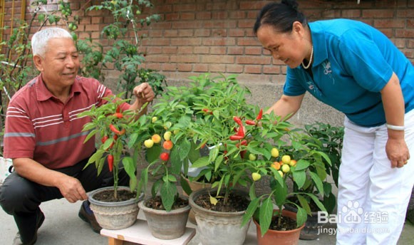 退休后我们应该过怎样的生活？（二）