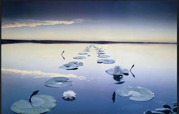 如何快速学会游泳。