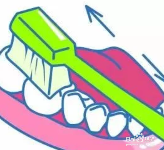 正确的刷牙方法