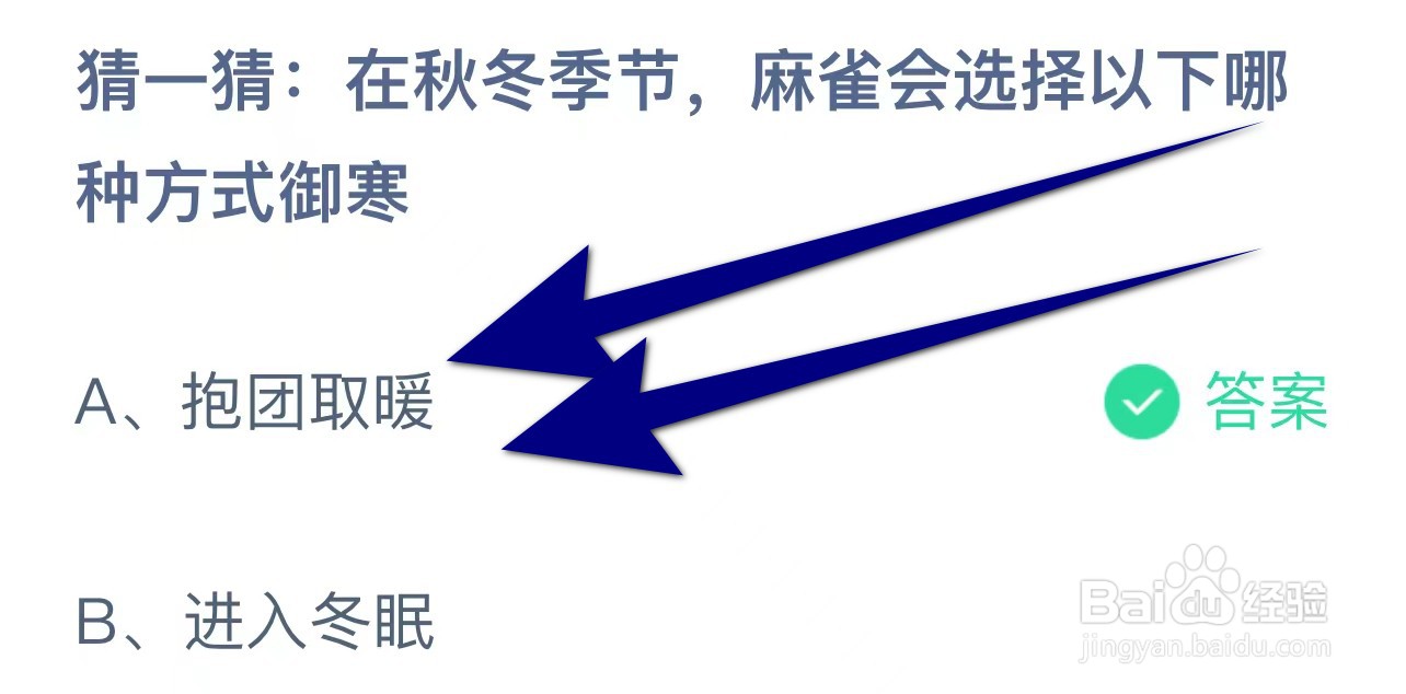 在秋冬季节,麻雀会选择以下哪种方式御寒