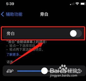 苹果手机怎么开启旁白功能