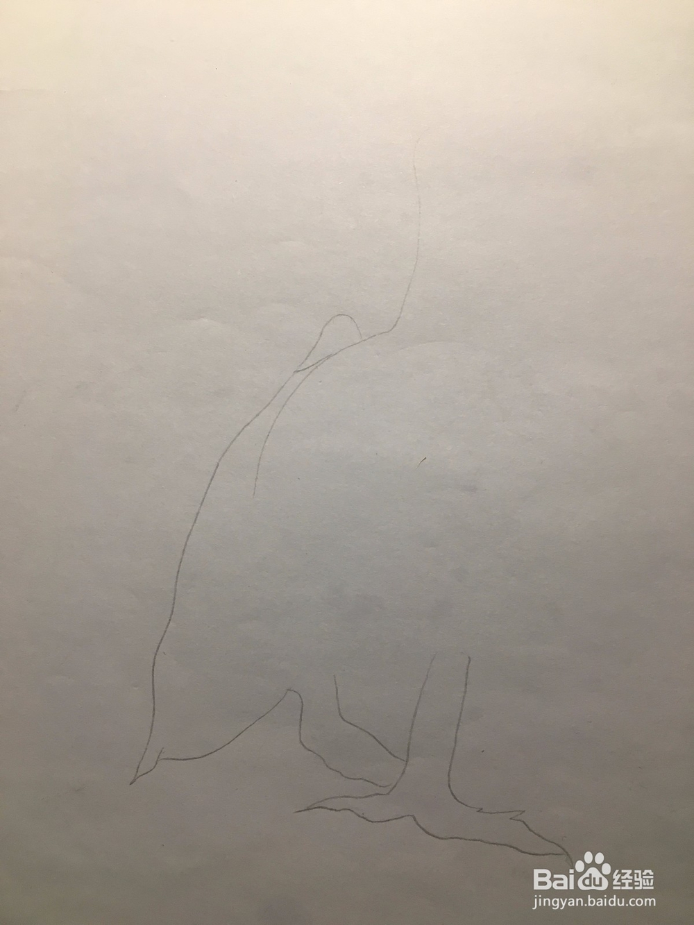 画一只长嘴巴的鸟儿 简笔画之鸟儿 儿童画 线描