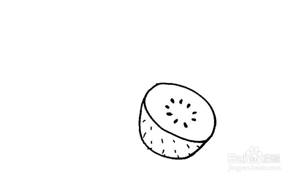 如何画一个好吃的猕猴桃？