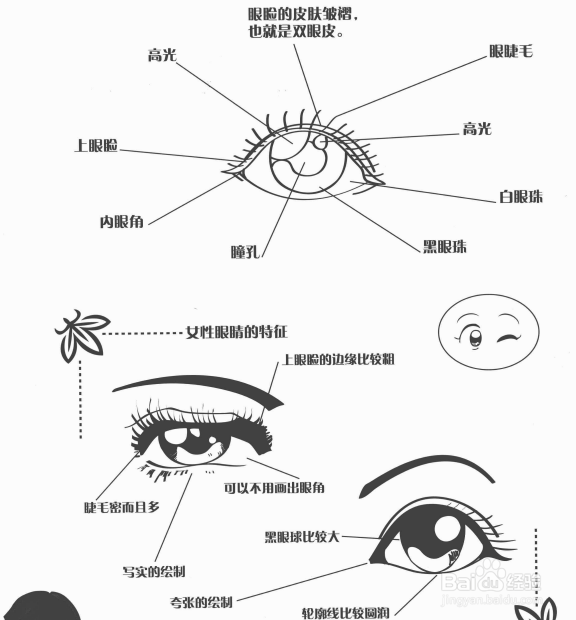 零基础初学入门画漫画手绘教程教学习