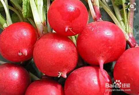 红色萝卜怎么吃
