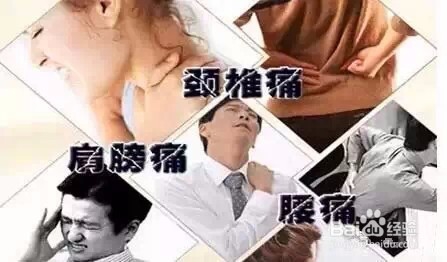 海参对上班族的保养功效有哪些