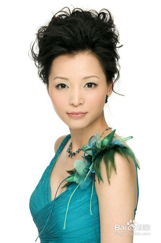 网传内地主持人排行榜