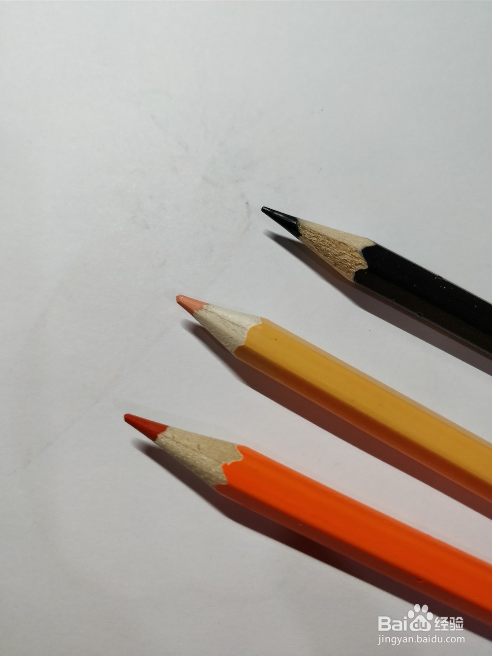 简笔画画莲藕