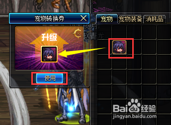 DNF迷你魔枪士、宠物转换券怎么获得并使用