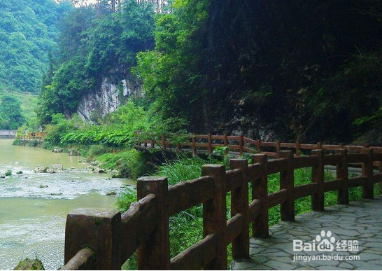为什么要去旅行