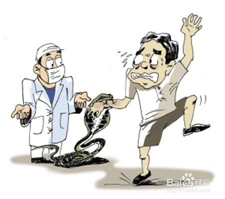 在野外被蛇咬伤怎么办？