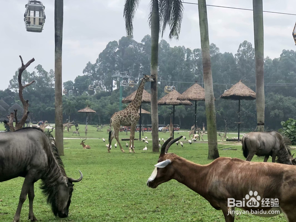 2019年寒假带小孩子去哪里玩好