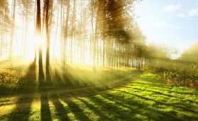 羽绒服机洗后 羽绒成块怎么办