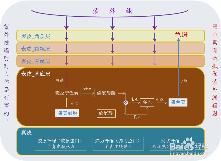 <b>最有效的祛斑方法</b>