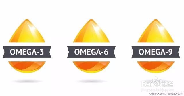 什么?脂肪分好坏?