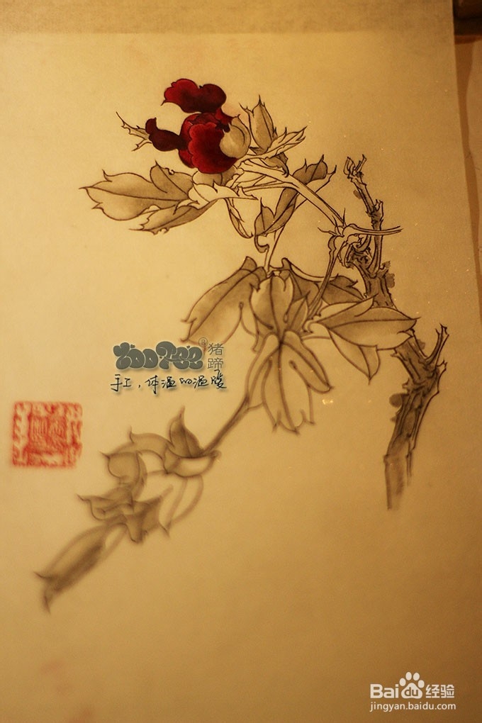 国画工笔花卉技法，起稿上色步骤图以及笔的选择