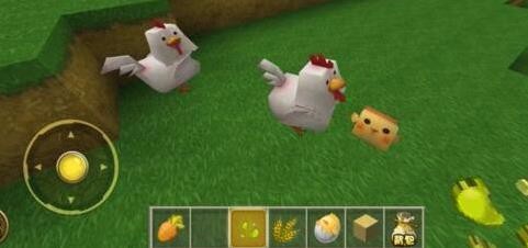 迷你世界怎么养小鸡