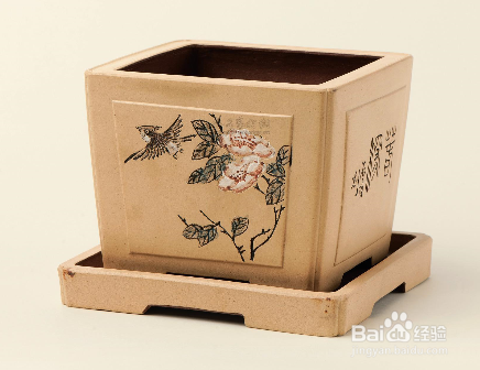 如何在家庭种植霍山石斛？