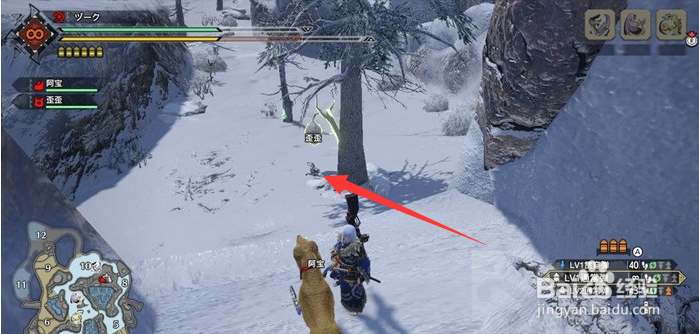 怪物猎人崛起厚实的上等皮怎么获得