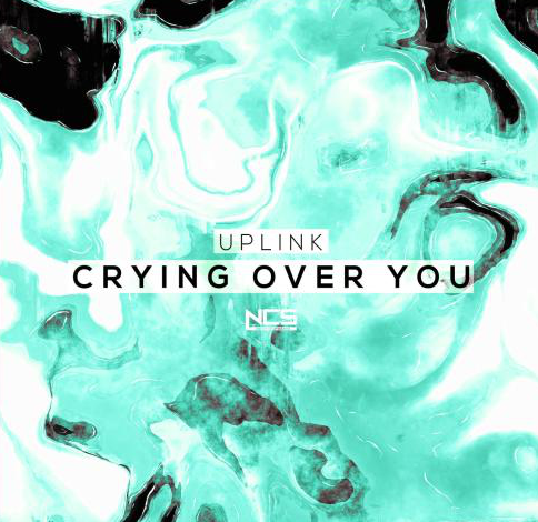 您好请帮助 翻译后面这一首歌的歌词Crying Over You。
