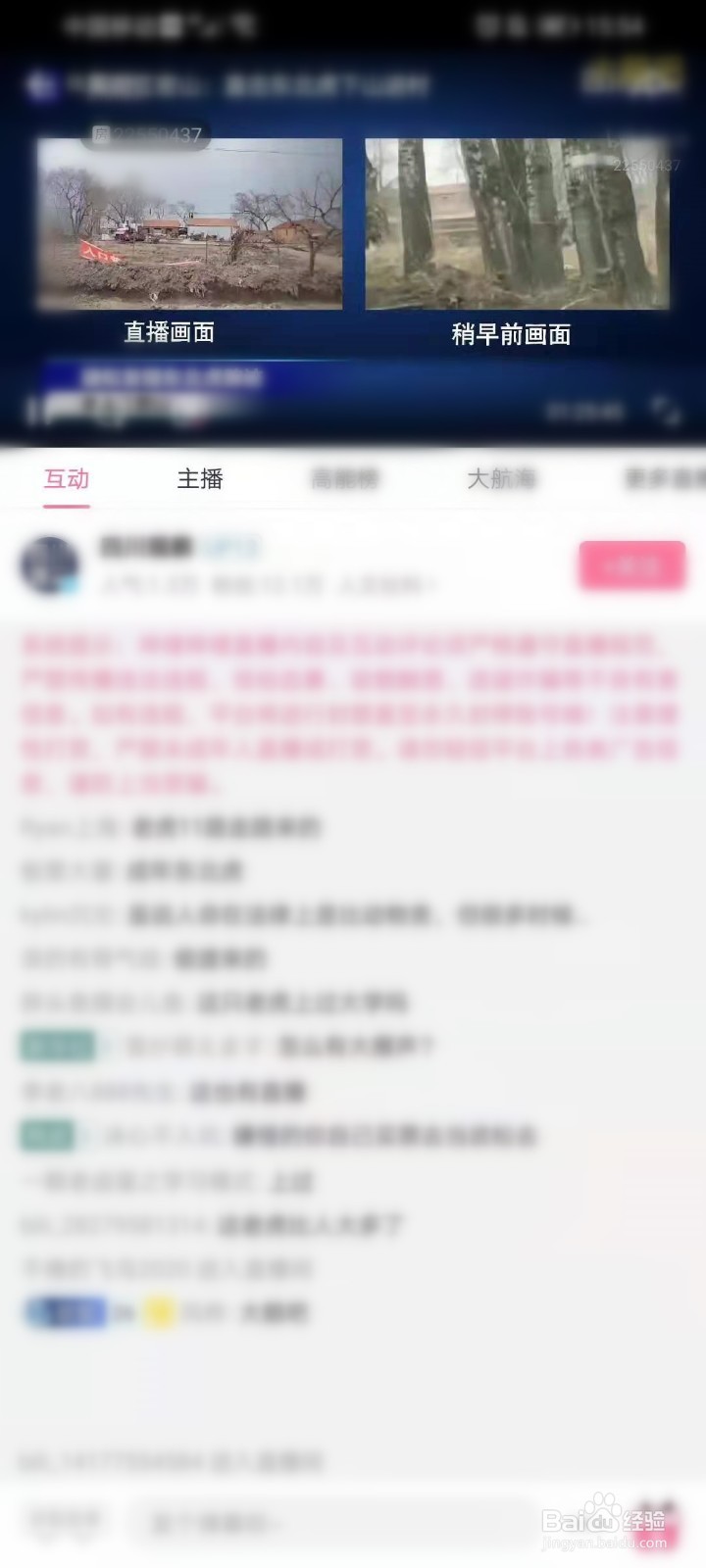 东北虎闯入黑龙江村庄直播在哪看